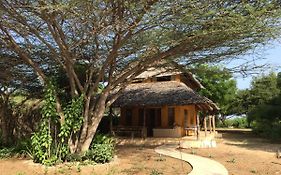 Mangrove House