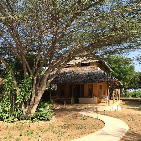 Hotel Mangrove House à Lamu Extérieur photo