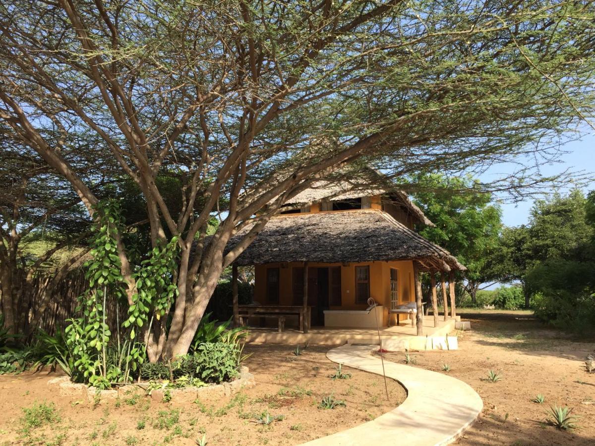 Hotel Mangrove House à Lamu Extérieur photo