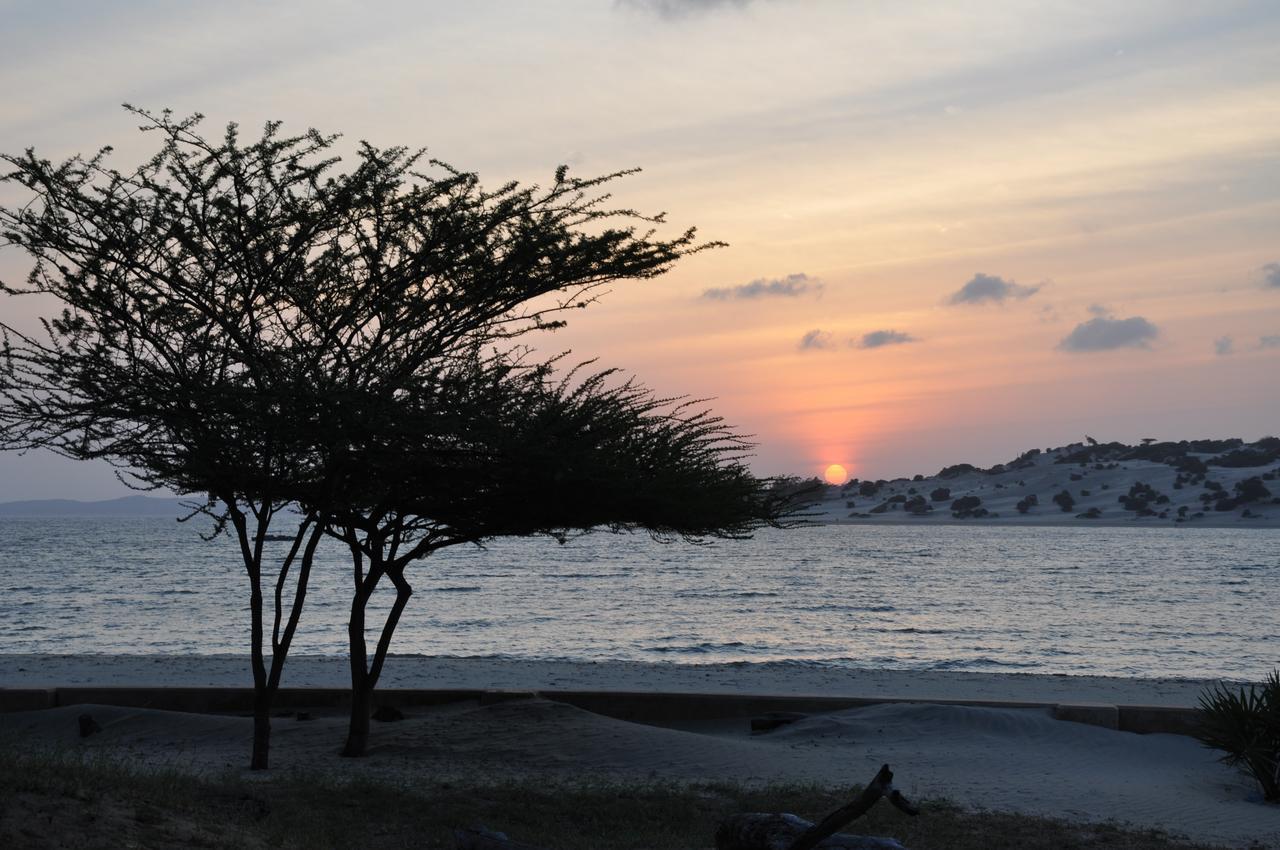 Hotel Mangrove House à Lamu Extérieur photo